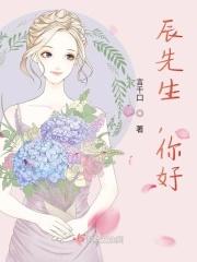 辰先生，你好！