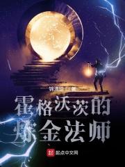 霍格沃茨的全职法师