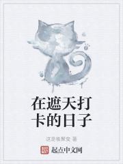 在遮天打卡的日子
