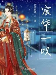 宸华一叹