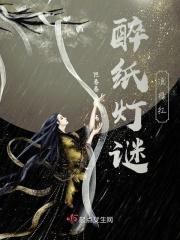 醉纸灯谜滤绿红