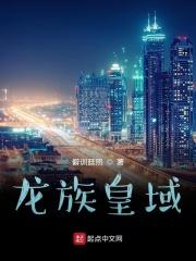 龙族枪域