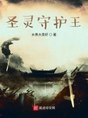 圣灵守护王