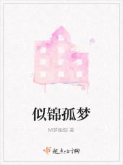 似锦孤梦