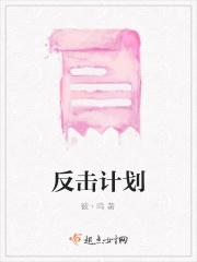 反击计划