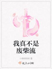 我真不是废柴流