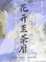 十一朵白玫瑰