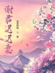 谢君迟迟意
