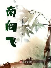 南向飞