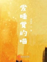 爱睡觉的喵
