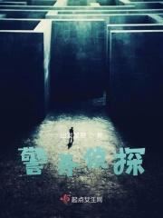 警务侦探