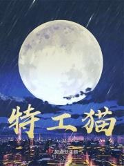 特工猫