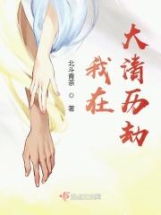 大清情劫
