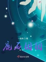 鹿石团团