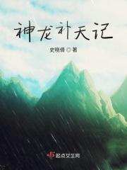 神龙补天记