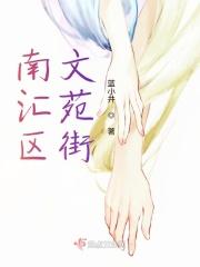 南汇区文苑街