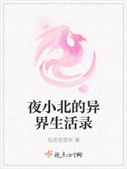 夜小北的异界生活录