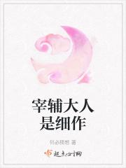 宰辅大人是细作