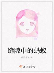 缝隙中的蚂蚁